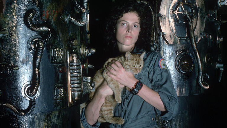 Alien at bifrons