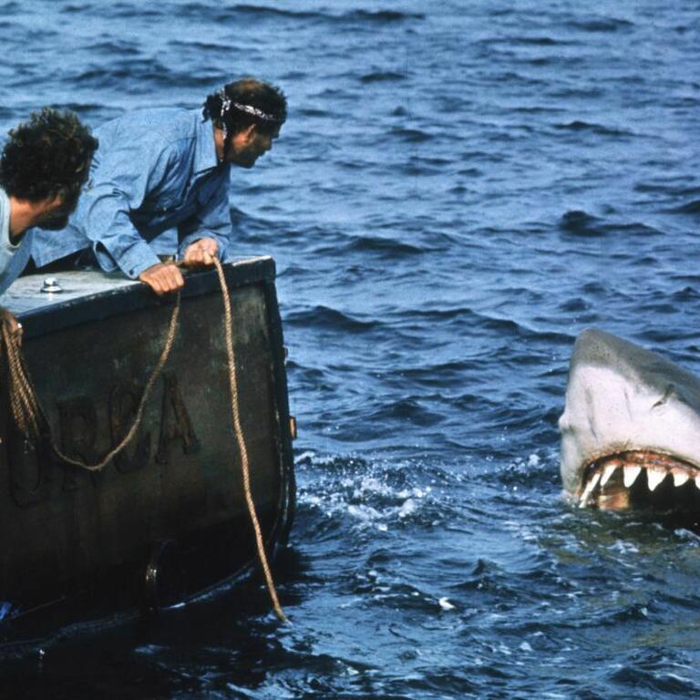 Jaws1