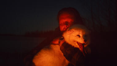 Pet Farm festival main 1