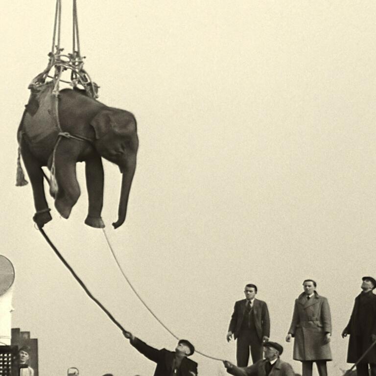 2024 Soundtrack to a Coup d Etat Johan Grimonprez Elephant Cargo British Pathé