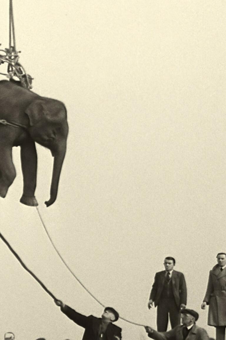 2024 Soundtrack to a Coup d Etat Johan Grimonprez Elephant Cargo British Pathé