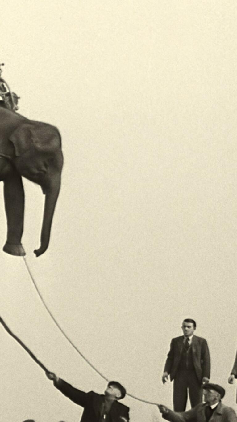 2024 Soundtrack to a Coup d Etat Johan Grimonprez Elephant Cargo British Pathé