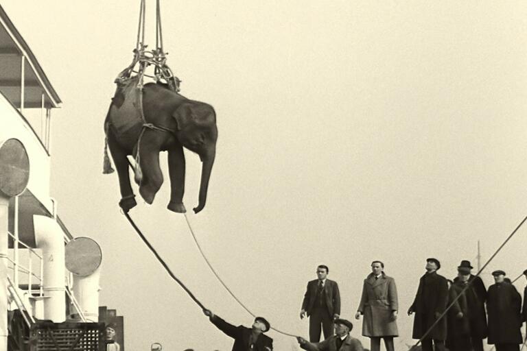 2024 Soundtrack to a Coup d Etat Johan Grimonprez Elephant Cargo British Pathé