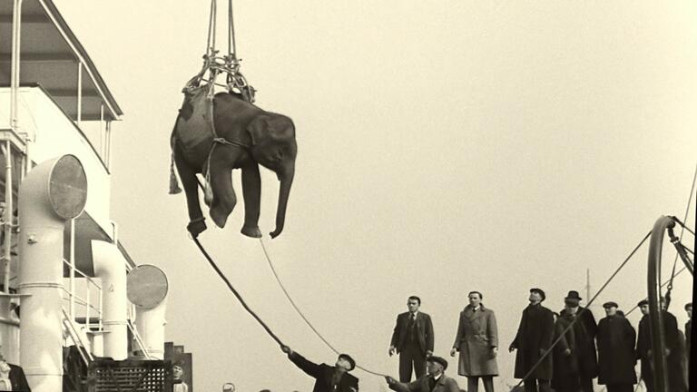 2024 Soundtrack to a Coup d Etat Johan Grimonprez Elephant Cargo British Pathé