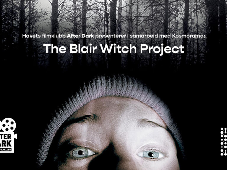 574372878 1134287982150790 1419221541282867518 n