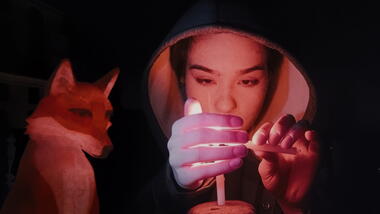 A Fox Under a Pink Moon 1