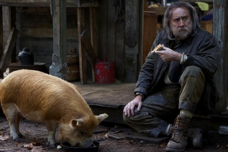 Pig