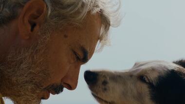 Contactado Background