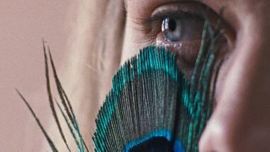 THE METAMORPHOSIS OF BIRDS 1