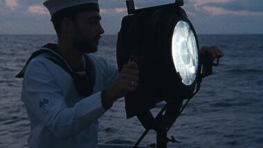 THE METAMORPHOSIS OF BIRDS 3