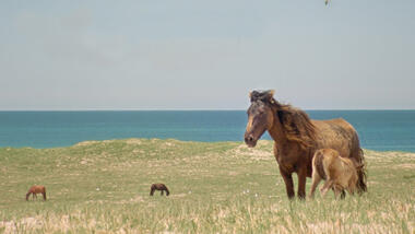 Geographies of Solitude1 0000 Layer 1