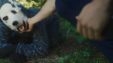 GOOD BOY SCREENSHOT 1 95 1